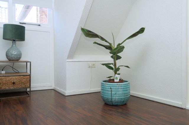 Sidestreet House Villa Zandvoort Ngoại thất bức ảnh